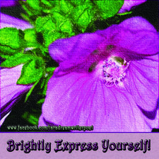 Hotel Travel Blog Active 2019